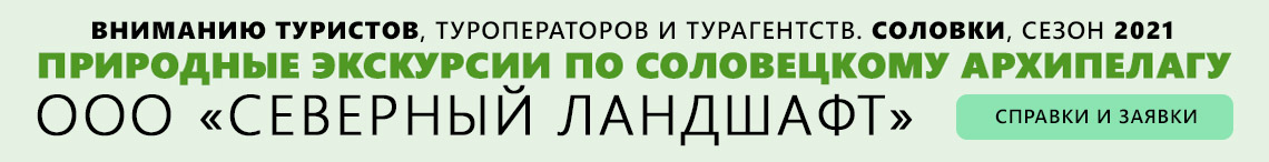 Северный ландшафт