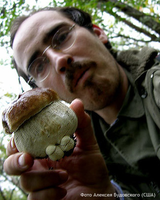Белый соловецкий гриб в руках Алексея Будовского 