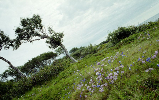 География и климат Соловков и региона. Photo by Andrey and Ekaterina Cheredov.