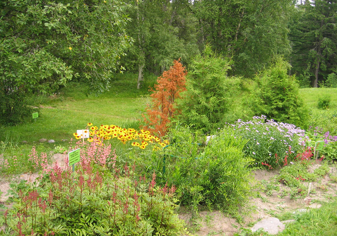 Фрагмент ландшафта Ботанического сада