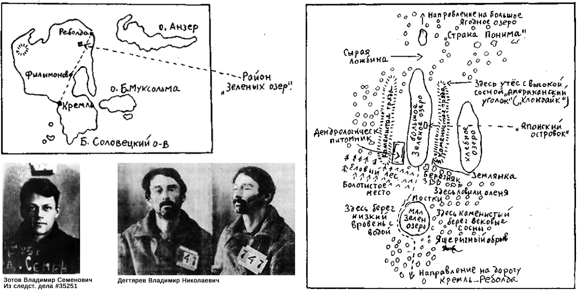 Схема дендрологического питомника на Соловках