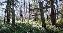 Безымянное лесное кладбище времен СЛОНА на острове Б.Соловецкий